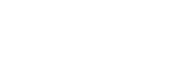 securex logo belgique