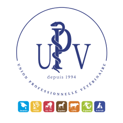 Logo rond upv section